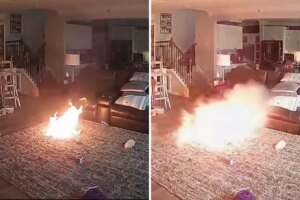 lityum pili isiran kopek evde buyuk bir yanginin cikmasina sebep oldu xxbH2SiO.jpg
