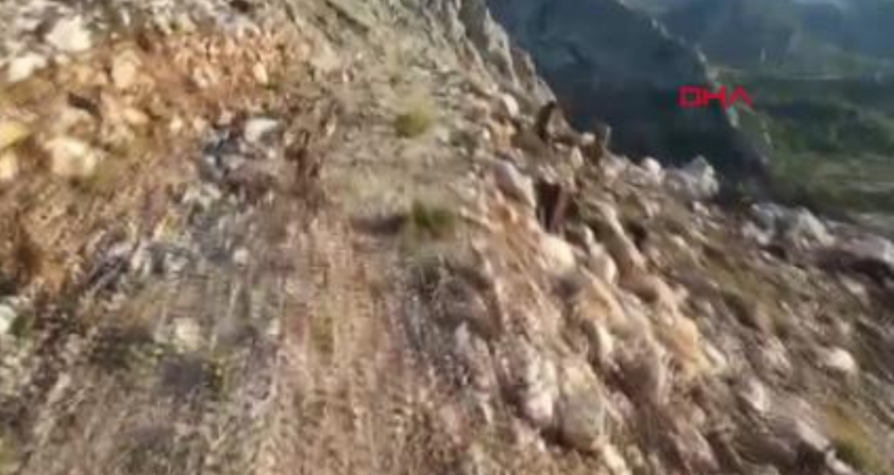 Kaçak avcılık yapan 4 kişi hakkında idari işlem