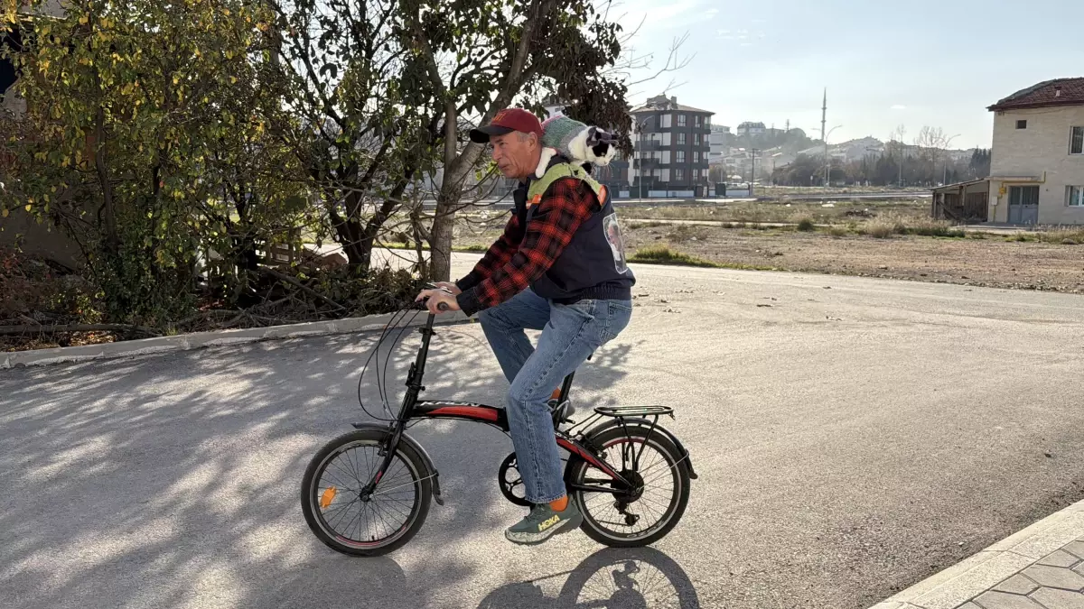 Kedisiyle 65 Şehir Gezen Adam