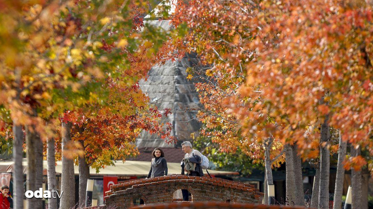 Kışı unutturan kasım: Yarım asırda 3’üncü…