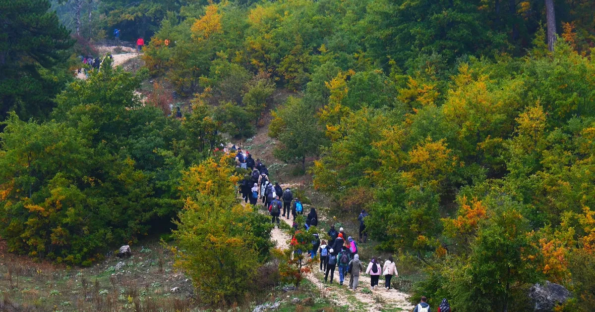 Sakarya’da doğayla iç içe sonbahar