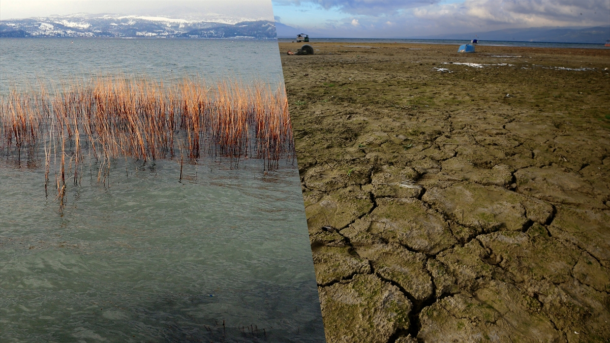 Sapanca Gölü alarm veriyor