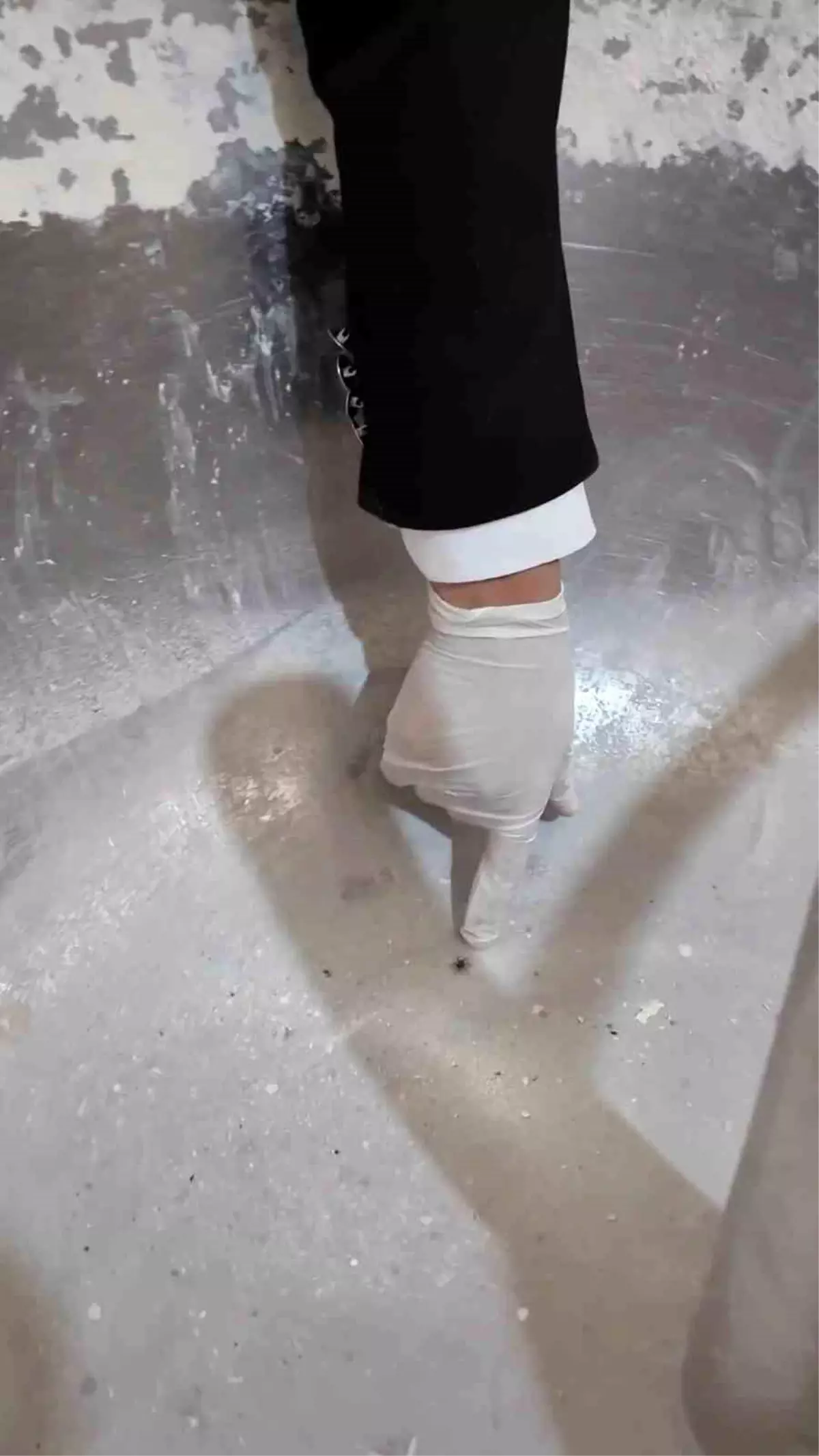 Fırında ortaya çıkan görüntülere tepki gösteren zabıta müdürü: “Fareyi geçtim, yılan çıkacak diye korkuyorum”