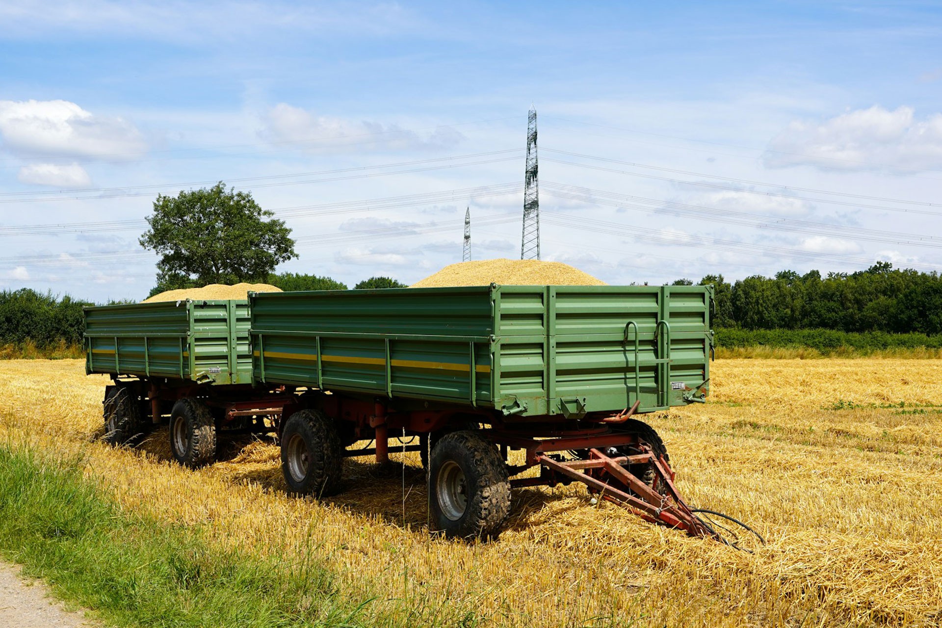 Tarımda Girdi Enflasyonu Tırmanışını Sürdürüyor: Tarım-GFE Kasım’da Yıllık Yüzde 34,24 Arttı – Paraanaliz