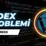 Web sitem Index Almıyor, Ne Yapabilirim? (Kapsamlı Rehber)